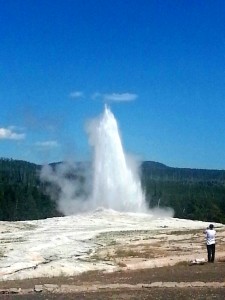 Yellowstone geyser