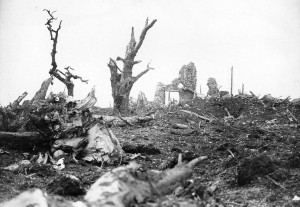 In terms of sheer destruction the countries of Europe had never experienced anything like World War I